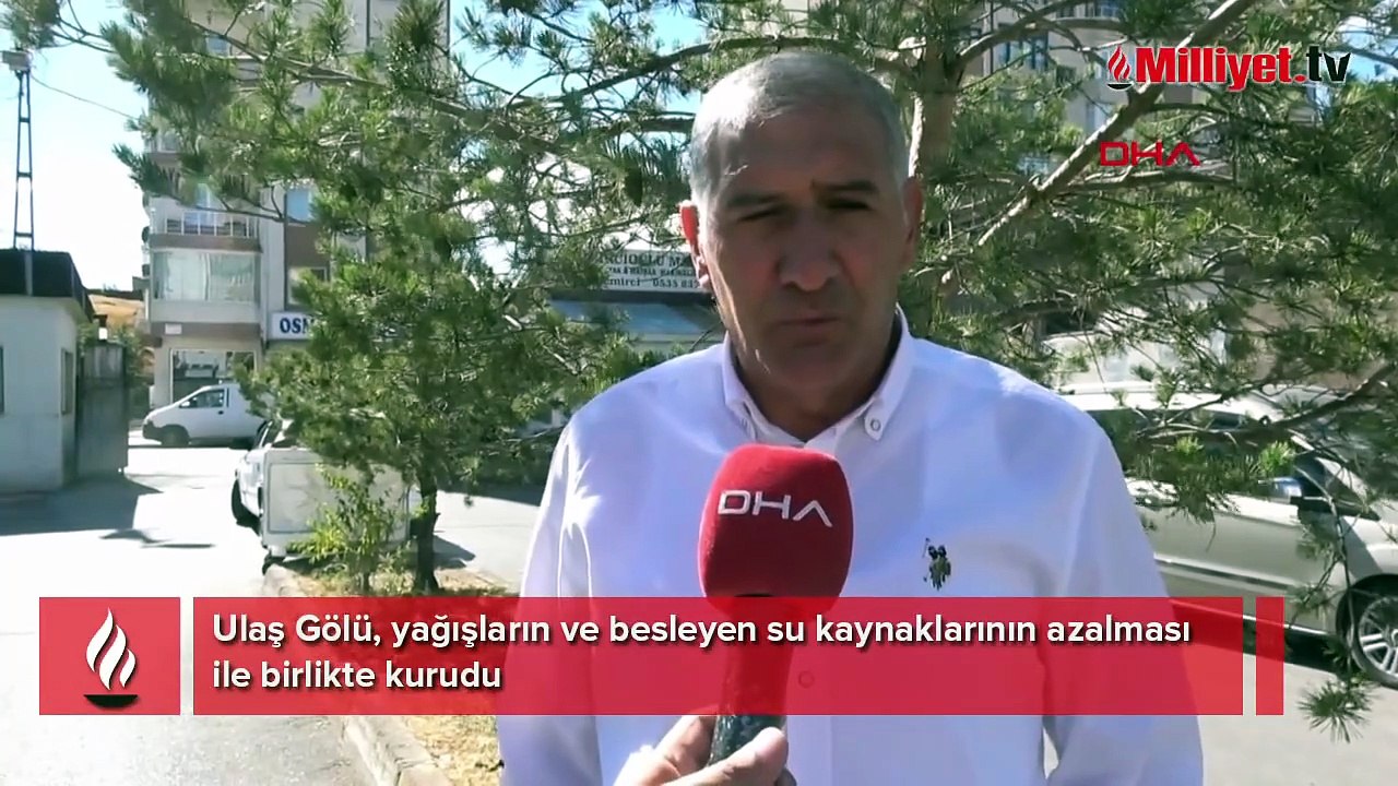 Ulaş Gölü'nde iç acıtan manzara! Bir zamanlar göçmen kuşların konaklama noktasıydı