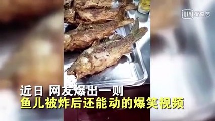 بالفيديو سمكة مقلية تعود اليها الروح داخل الطبق قبل أكلها