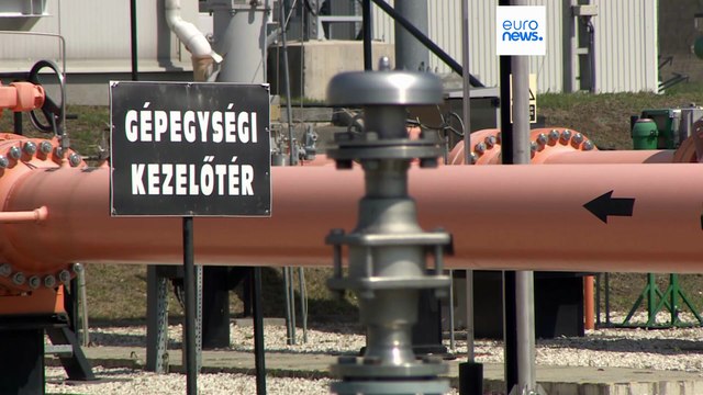 ЕС откажется от российского газа, несмотря на протесты двух стран — эксперт