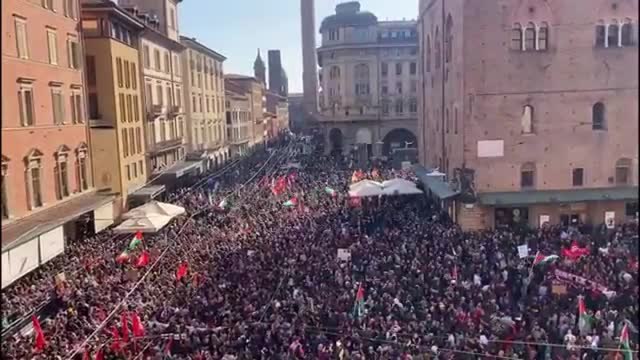 Il video della marea umana per la Palestina a Bologna: «Piazza Maggiore, piazza Nettuno e il centro pieni»