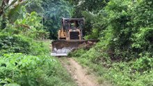 The Effectiveness of the D6R XL Bulldozer in Managing Old Plantation Roads