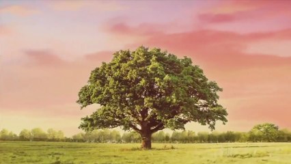 Na miłość nie ma recepty - 54