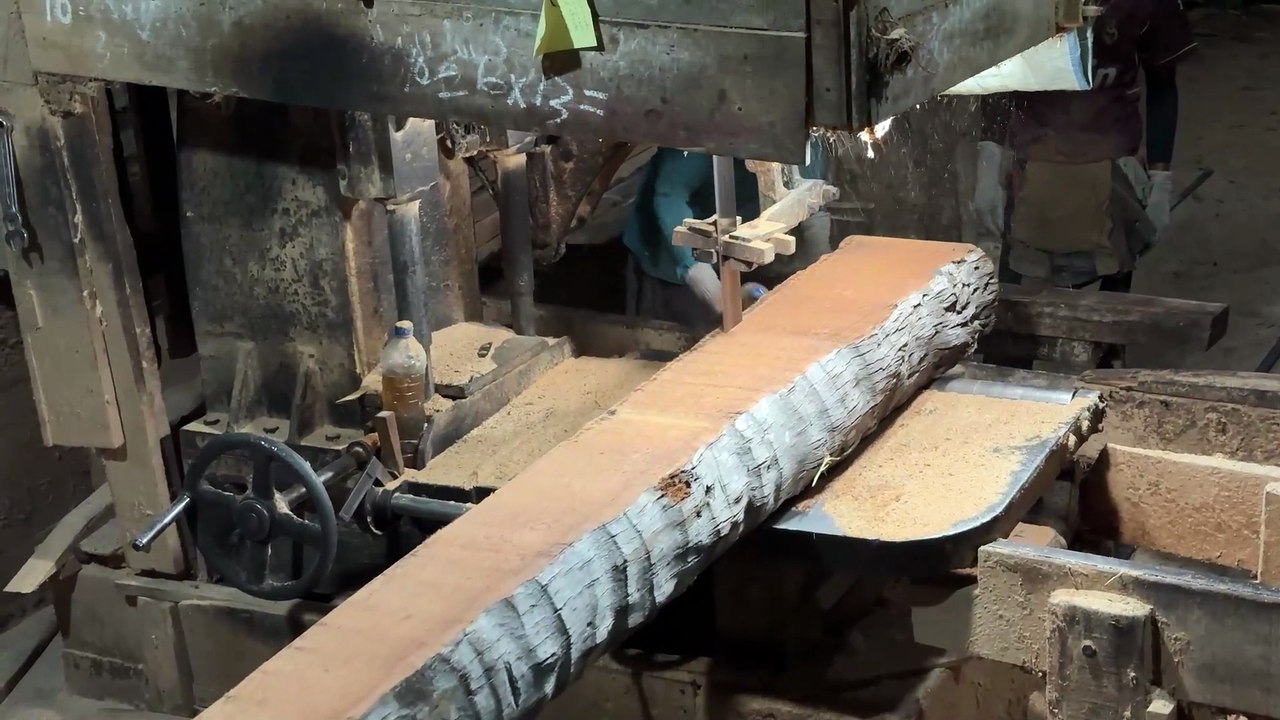 Sawing a Coconut Tree into 2x20 Planks in Minutes