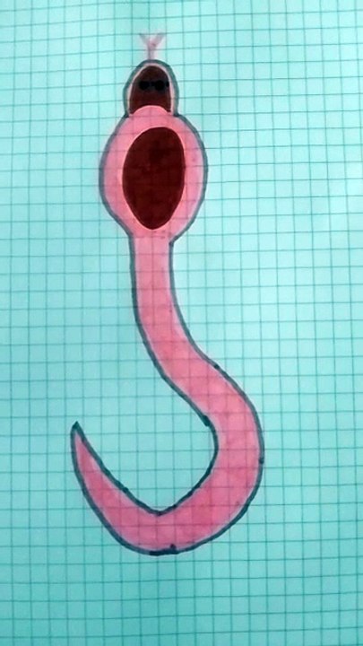 Serpente colorato disegno