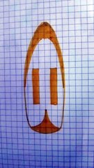 tavola da surf per barbie  fai da te 2