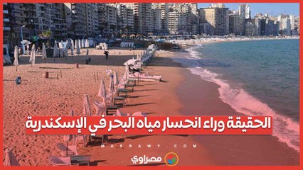 انحسار مياه البحر في الإسكندرية.. الحقيقة الكاملة وراء الظاهرة