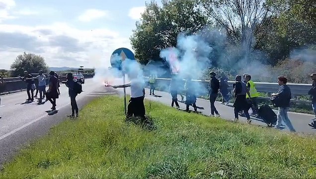 Livorno, sciopero per Gaza: i manifestanti invadono la Variante Aurelia