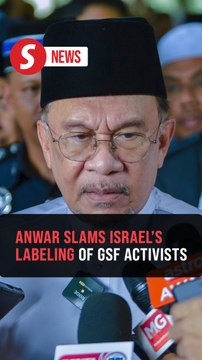 Israel's allegations labelling GSF activists as terrorists are insolent, says PM Anwar