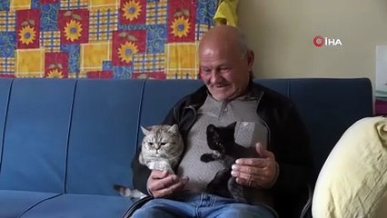 Beslemek istediği köpek saldırdı, koluna 10’dan fazla dikiş atıldı