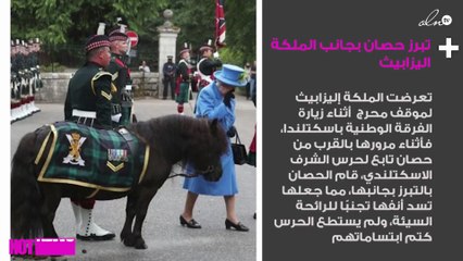 موقف محرج لملكة بريطانيا بسبب حصان