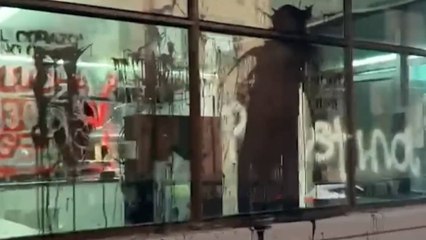 VIDEO | Así quedaron las calles en Bogotá tras la protesta pro palestina que terminó en violencia