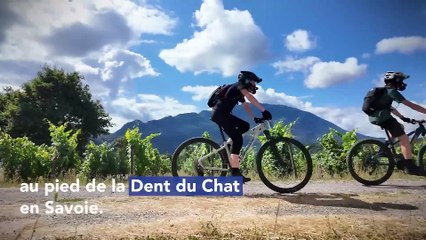 Dans ma fédé - Bike Camp 2025 : 275 jeunes à l’aventure avec la FFVélo