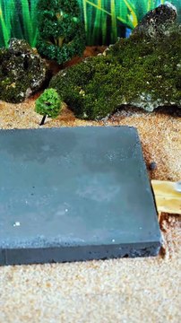 Build a small dream house step by step #beautiful #tlny house