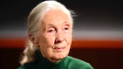 Dr. Jane Goodall’s Reflections — Famous Last Words on Netflix