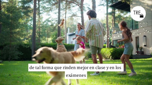 Más que tiempo de calidad juntos, jugar con tus hijos nueve minutos puede mejorar sus calificaciones, confirma la ciencia