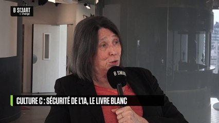 SMART CYBER - Culture cyber : un livre blanc sur la sécurité de l'IA