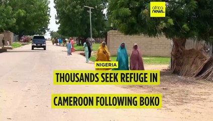 Thousands seek refuge in cameroon following Boko Haram assault in Nigeria