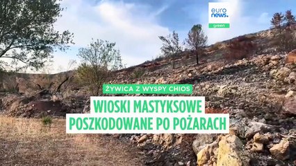 Mastyksowe wioski Chios wysyłają sygnał alarmowy po letnich pożarach