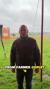 Storm Amy causes disruption across the region including Farmer Copley's Pumpkin Festival cancellation
