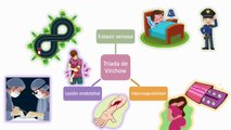 Embolia pulmonar (EP) #elcuerpoymas #salud #medicina #EP #Emboliapulmonar