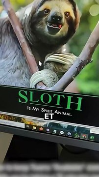 Cette vidéo permet de faire bouger sa souris... sans y toucher 😎