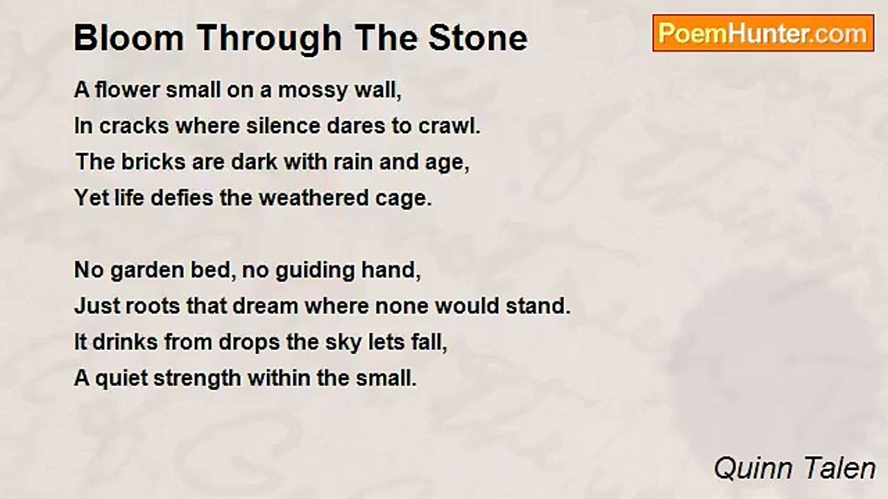 Quinn Talen - Bloom Through The Stone