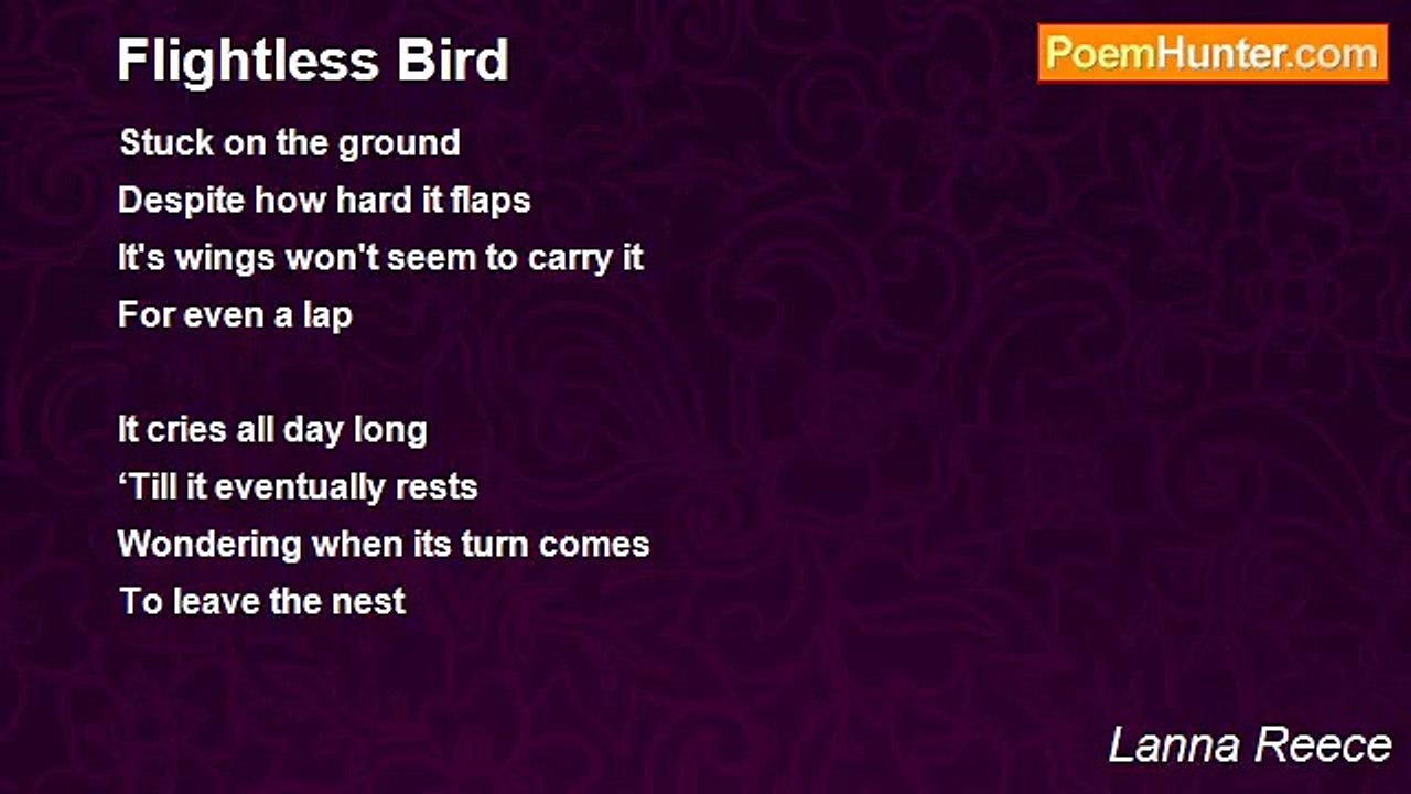 Lanna Reece - Flightless Bird
