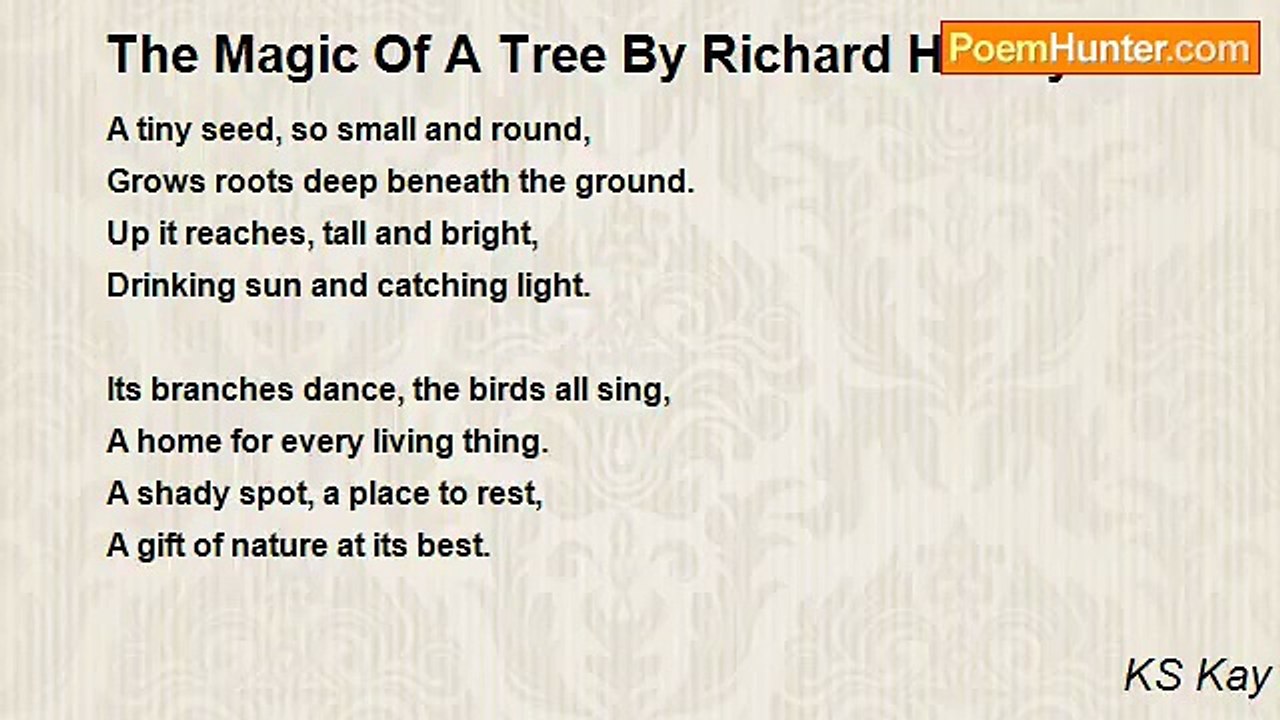 KS Kay - The Magic Of A Tree By Richard Henley