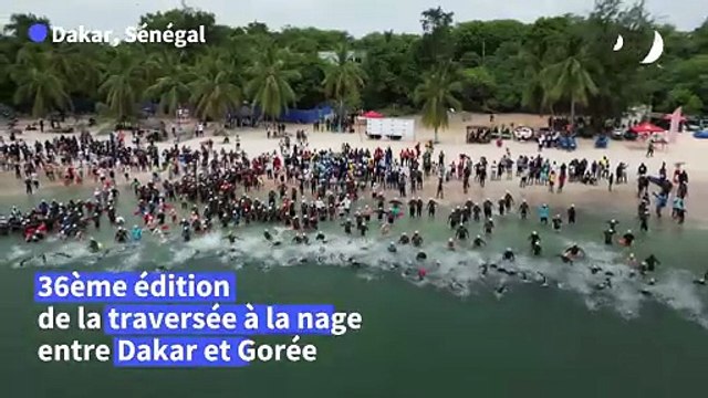 Sénégal: participation record pour la traversée à la nage Dakar-Gorée