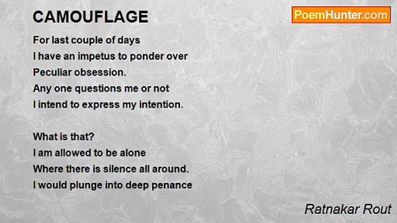 Ratnakar Rout - Camouflage