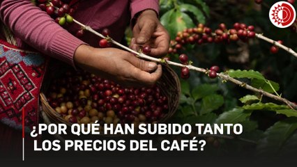 ¿Por qué han subido tanto los precios del café?