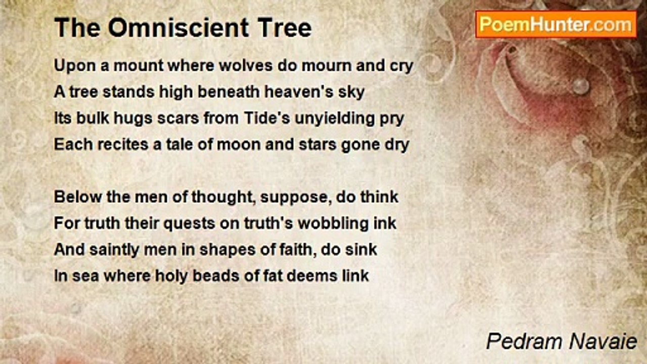 Pedram Navaie - The Omniscient Tree