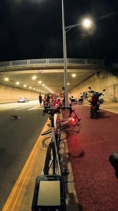 Je suis presque sûr qu'il a dû avoir peur ou être écrasé par un vélo.