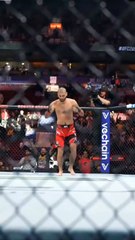 Fastest KO in UFC fighting event