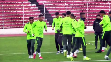 Marcelo Timorán: Perfil y Trayectoria