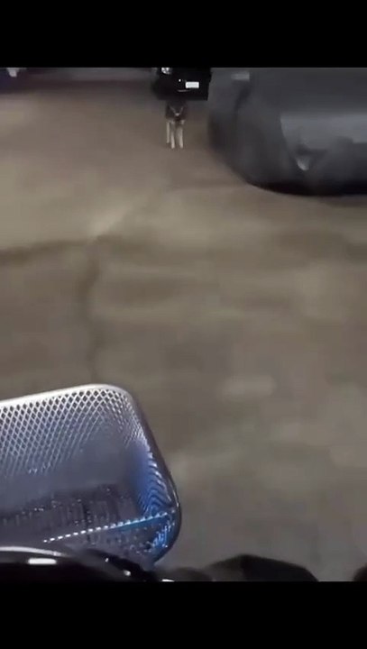 Toujours stagiaire de rue, toujours à l'affût du pigeon.