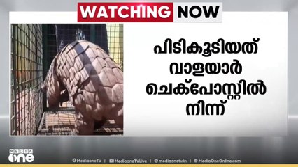 വാളയാർ ചെക്ക്പോസ്റ്റിൽ ഈനാംപേച്ചിയുമായി യുവാവ് പിടിയിൽ..