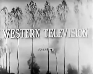 Nurse Edith Cavell (1939)