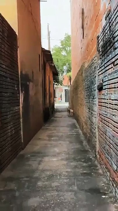 Les potes restent potes !