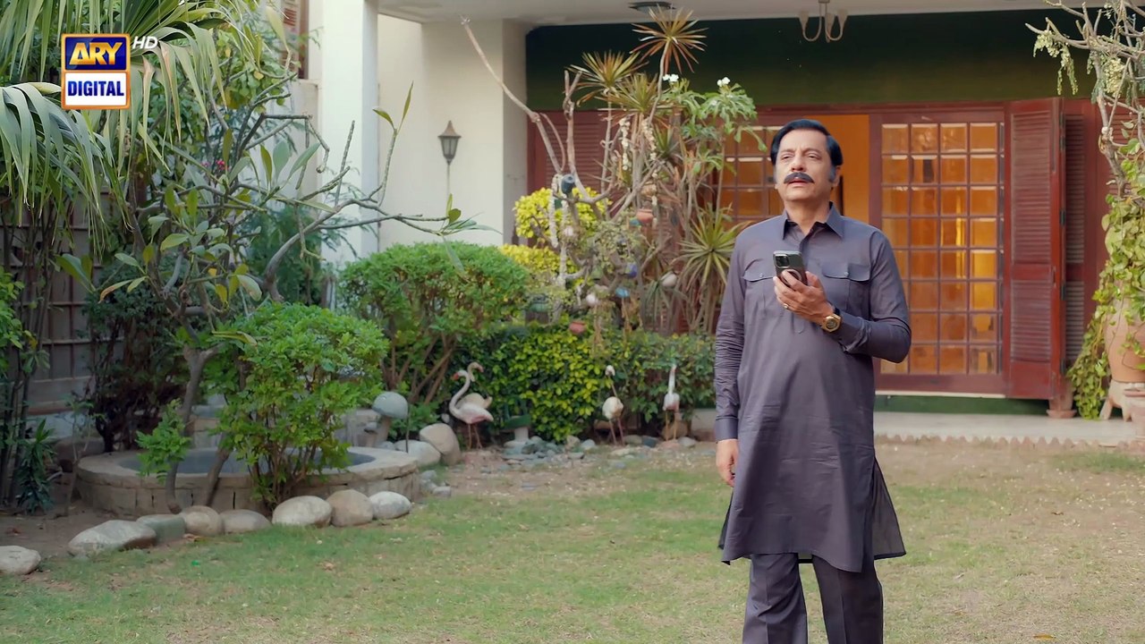 Sher Last Episode