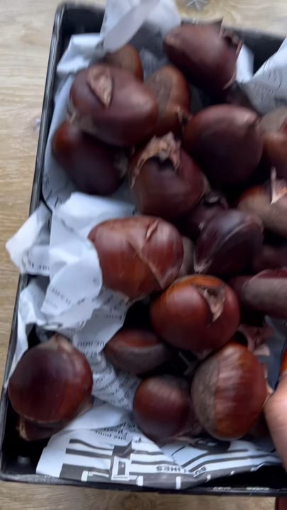 Passion châtaignes 🌰 😍