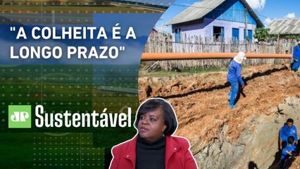 ONU: Cada R$ 1 em saneamento economiza R$ 4 em saúde | JP SUSTENTÁVEL