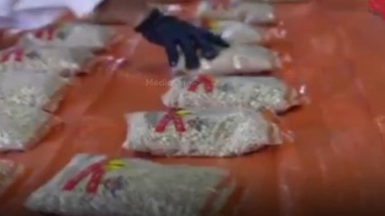 കണ്ടെയ്നറുകളിലെ ചില്ലുപാളികളിൽ ഒളിപ്പിച്ച് ലഹരി ഗുളികകൾ ; 364 കിലോ ​ഗുളികൾ പിടിച്ചെടുത്തു