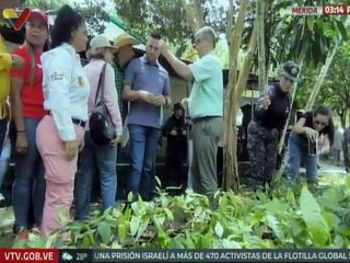 Mérida | Plan Rector del Cacao busca fortalecer la producción del rubro en la región