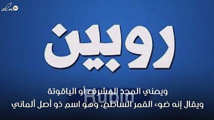 معنى اسم روبين