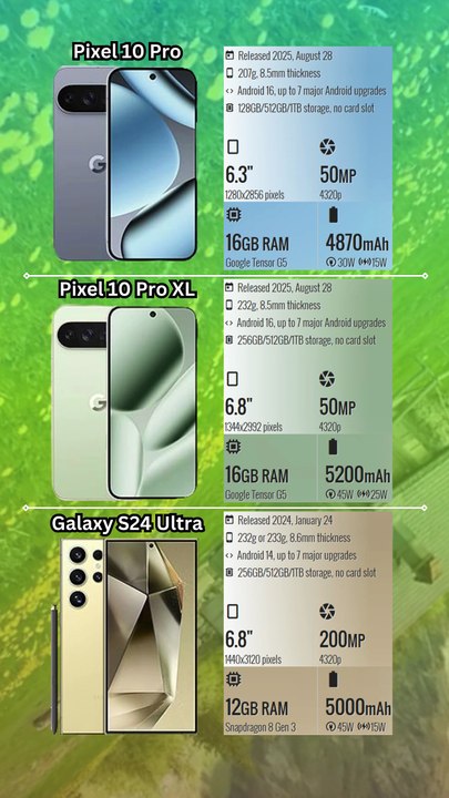 Pixel 10 Pro vs Pixel 10 Pro XL vs Galaxy S24 Ultra