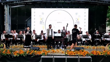 Valentin Vadrariu - Premiul al III-lea sectiunea solisti vocali (Festivalul National „Strugurele de aur” - Blaj - 07.09.2025)