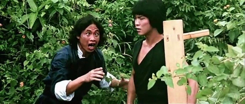The Young Master 1980 Martial Arts Film || Jackie Chan* as Dragon Lung/Ying Lung (aka The Young Master)