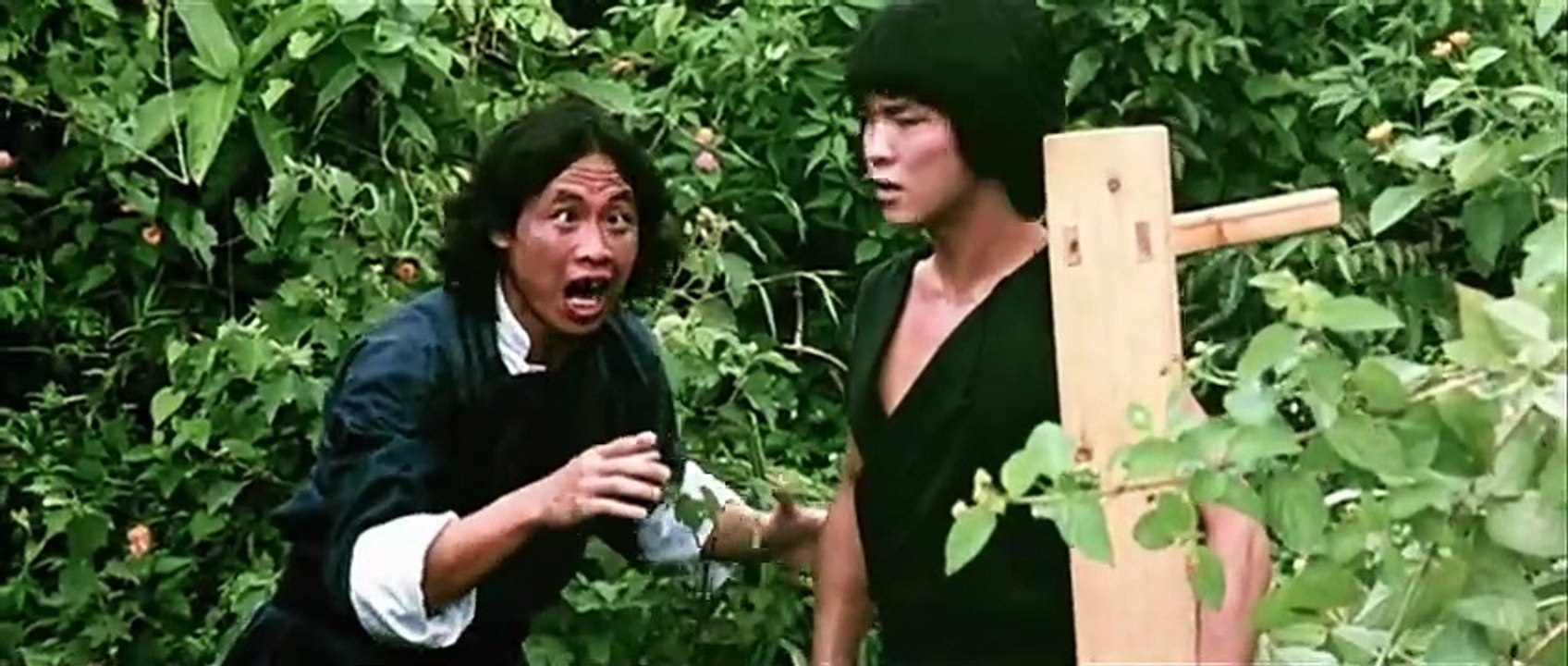 The Young Master 1980 Martial Arts Film || Jackie Chan* as Dragon Lung/Ying Lung (aka The Young Master)