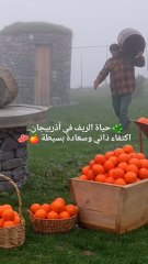 هكذا يعيش أهل الريف في أذربيجان.. طبيعة تأسر القلب وجمال بلا تكلف